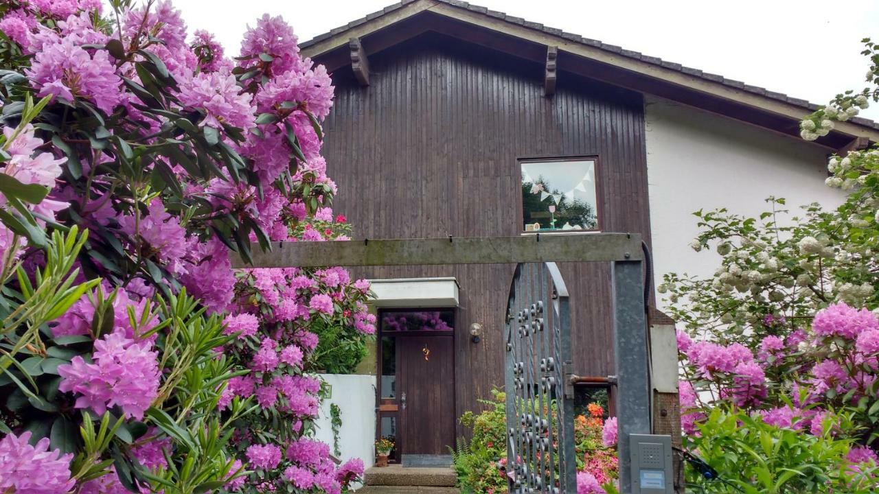 Ferienwohnung Rhododendron - Natur Pur Am Highwalk โรเทนบวร์ก อัน แดร์ ฟุลดา ภายนอก รูปภาพ